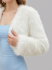 Frosty Nights Faux Fur Cropped Jacket