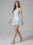 Frosted Lace Flare Mini Dress